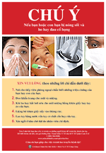 Vietnamese language H1N1 prevention poster - PDF file