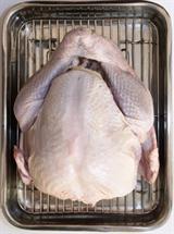 photo: turkey in pan