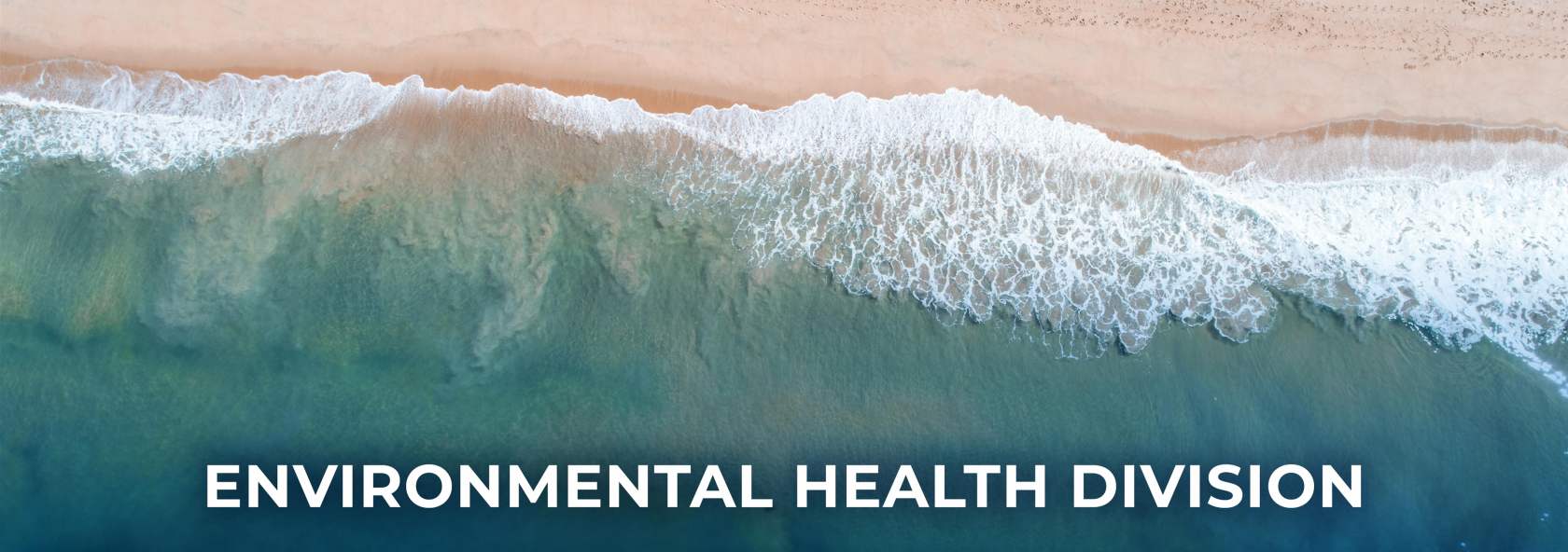 Beach with Environmental Health Division 