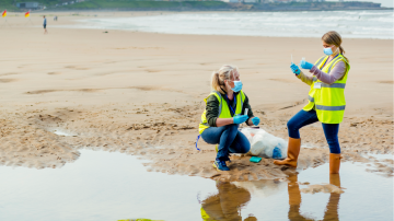 People in yellow vests cleaning up a beach