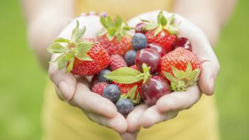 Food in Hands