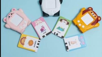 Flashcard Talking Toys 02-26-2026