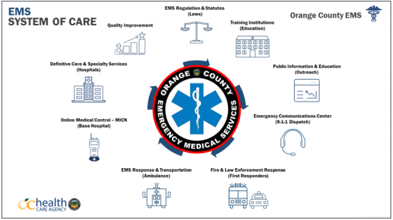 System of Care 2021