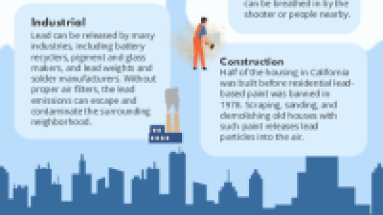 lead air pollution flyer