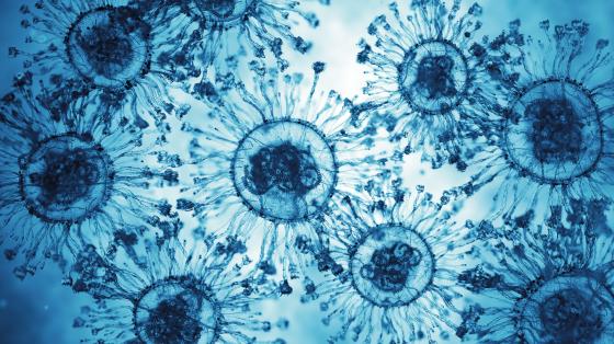 Diseases & Conditions